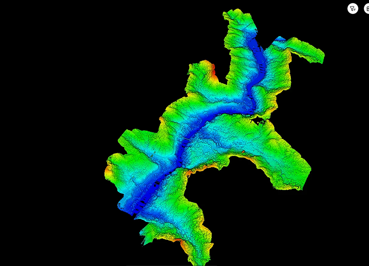 Elevation-classified LiDAR point cloud revealing terrain beneath forest