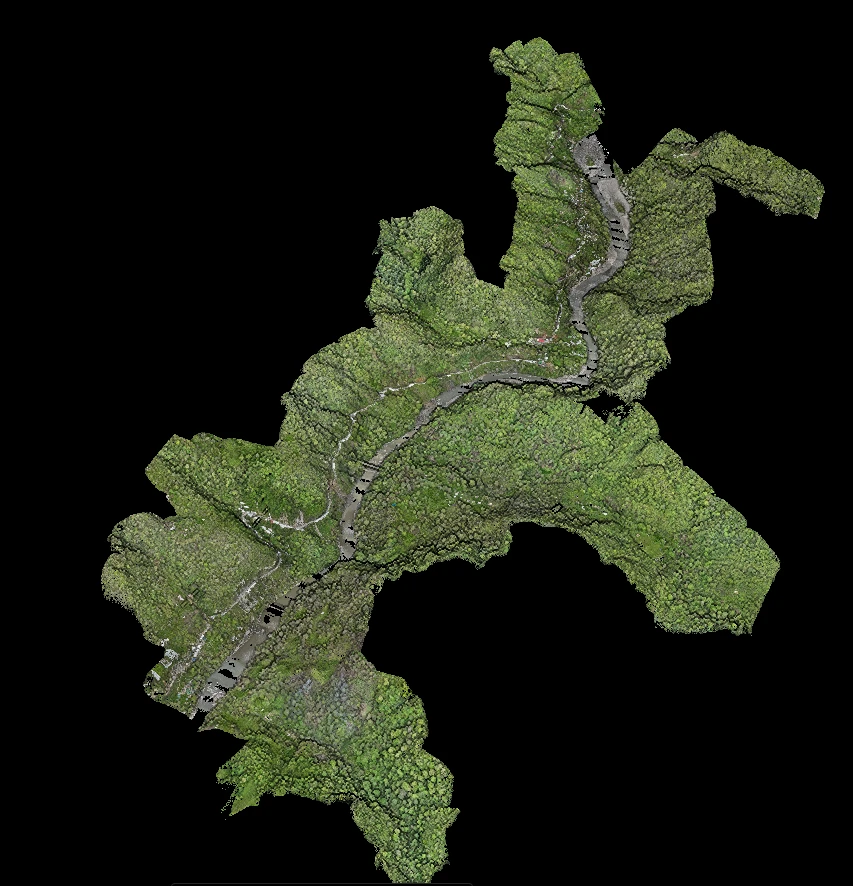 True-colour RGB LiDAR point cloud of a forested Himalayan river valley